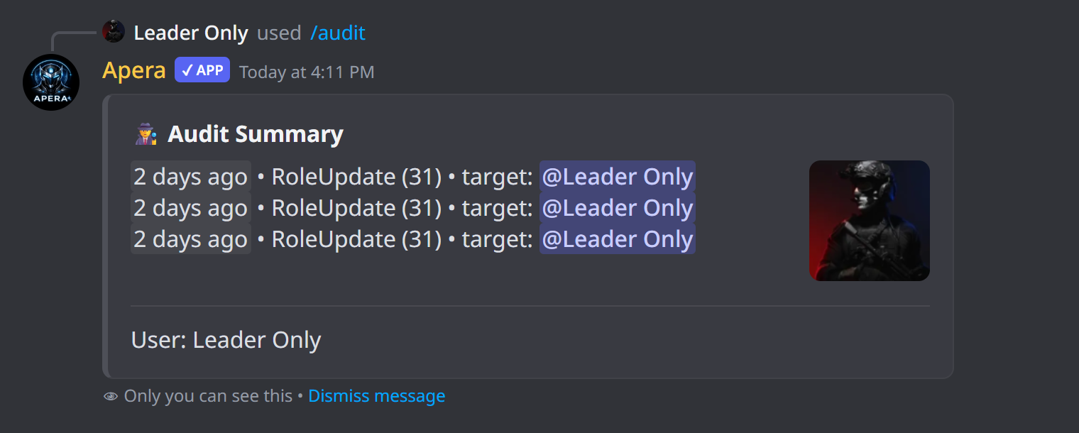 /audit ne yanıt verir